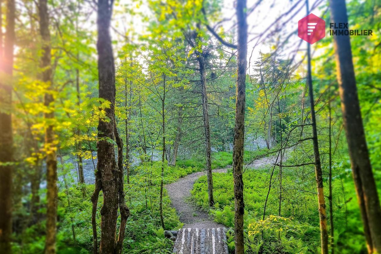 The Halo / Spa Sauna Pool Billiards Hiking / 25 Min From Quebec Pont-Rouge Esterno foto