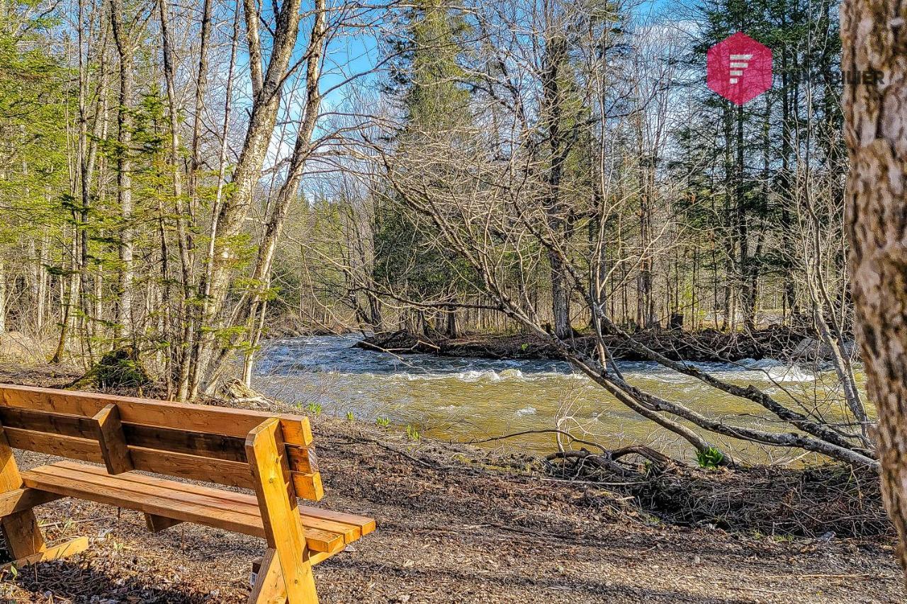 The Halo / Spa Sauna Pool Billiards Hiking / 25 Min From Quebec Pont-Rouge Esterno foto